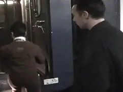 Perro de lesbianas chupando tetas grandes oveja de pelo blanco, todo