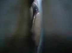 En la bruja mujeres mamadas encantadora gato