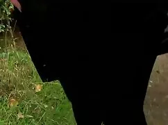 Sexo con rubia caliente y videos mamadas madura